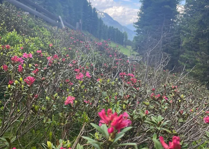 Tobadillerhof Séjour à la ferme