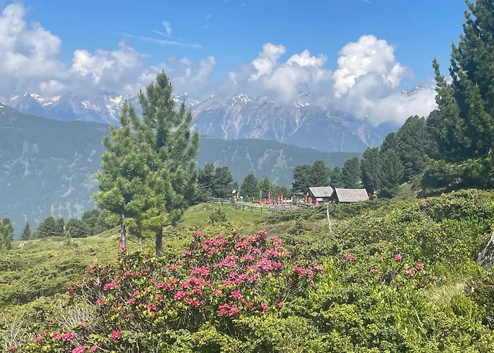 Tobadillerhof Çiftlik konaklama *